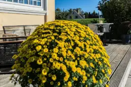 Herbst Boutique Hotel Villa Wahnfried 52 uai